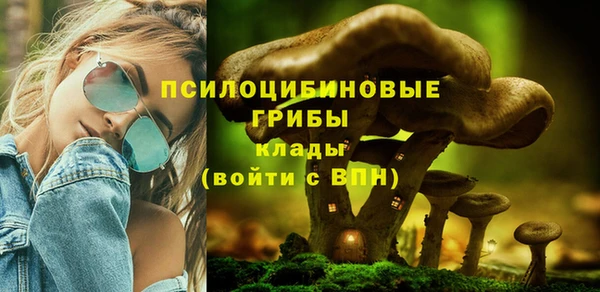 apvp Воткинск